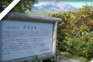 オタトマリ沼