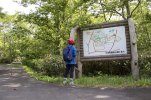 利尻町森林公園