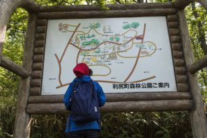 利尻の森自然探索