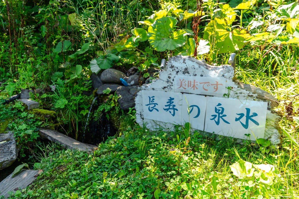 長寿の泉水