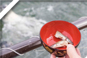 御崎物産