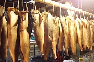 居酒屋 かもめ 本店