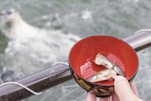 御崎物産