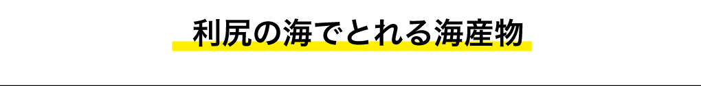 利尻の海でとれる海産物