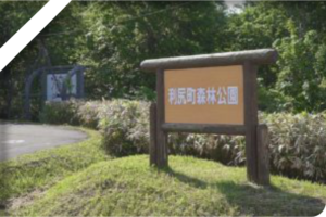 利尻町森林公園