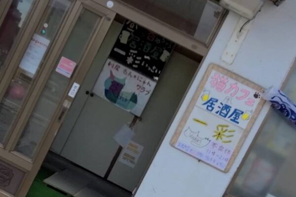 猫カフェ風居酒屋一彩 (利尻わん・にゃんクラブ)
