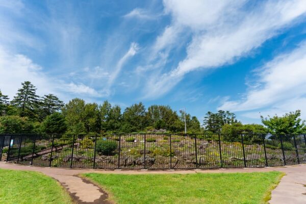 高山植物展示園