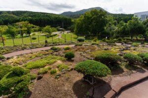 高山植物展示園