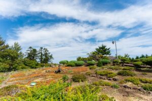 高山植物展示園